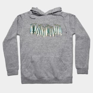 Mackerels painting Hoodie